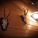 Almhütte Falkert Orman Evi *