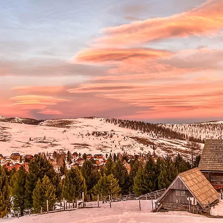 Almhütte Falkert Orman Evi