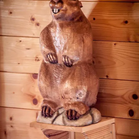 Almhuette Falkert Lodge