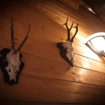 Almhuette Falkert Lodge *