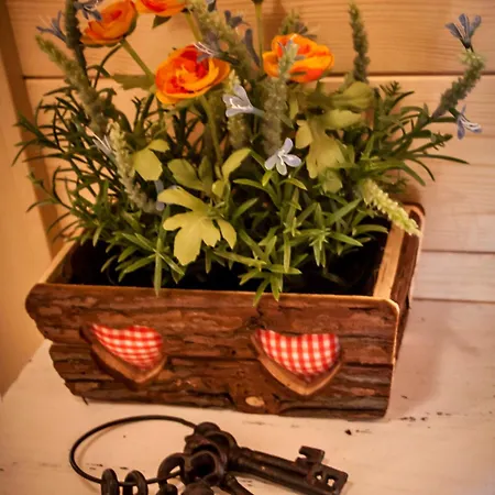 Almhütte Falkert Lodge Patergassen