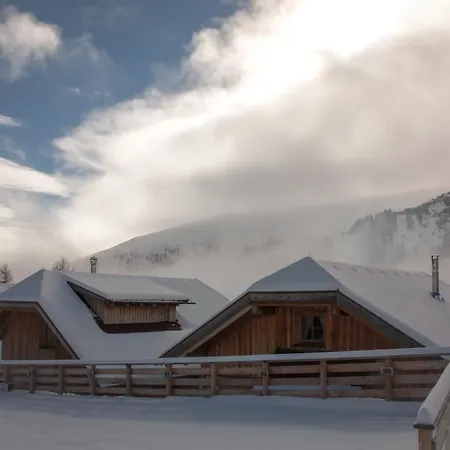 Almhütte Falkert Orman Evi Patergassen