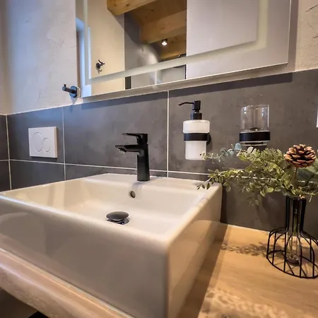 Almhuette Falkert * Patergassen