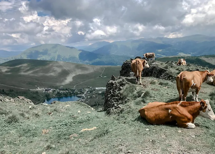 Almhuette Falkert Domek letniskowy Patergassen