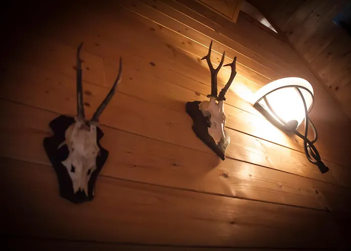 Almhuette Falkert Lodge *