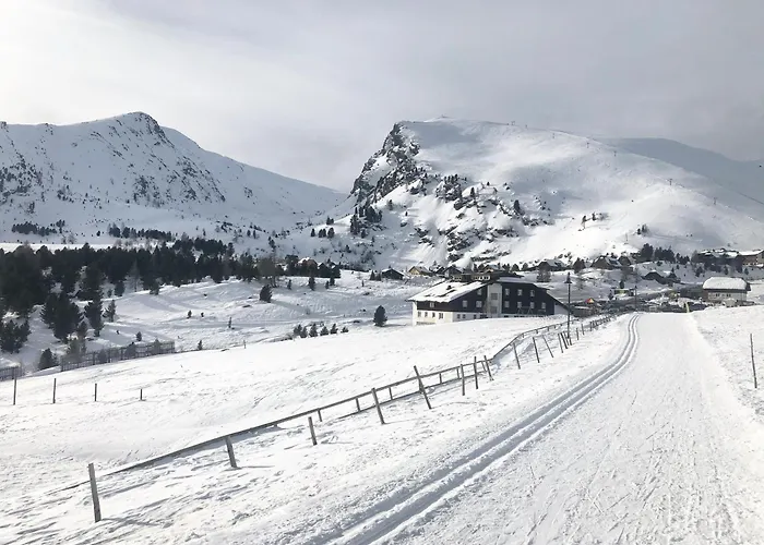 Almhuette Falkert * Patergassen