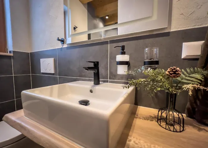 Almhuette Falkert * Patergassen